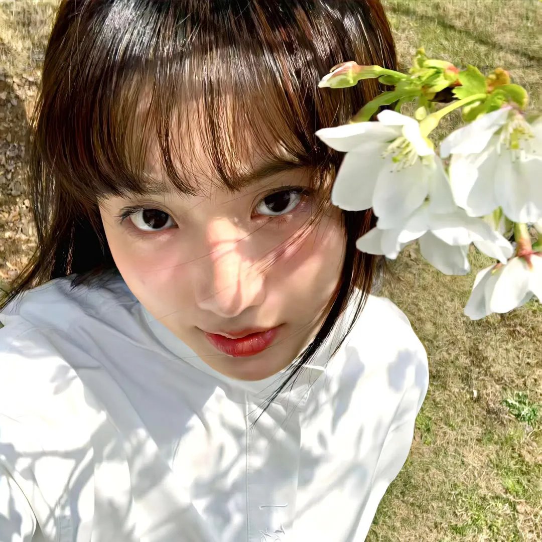 吸血鬼莱斯柏